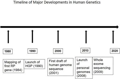 Genetics of Inherited Retinal Diseases in Understudied Populations